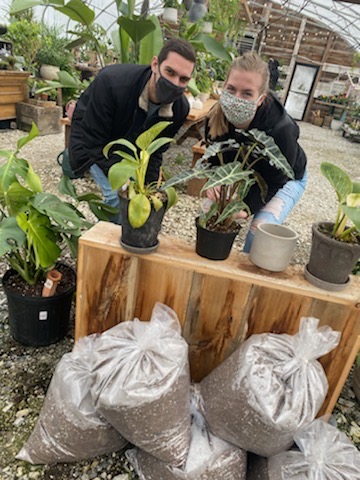 Plants